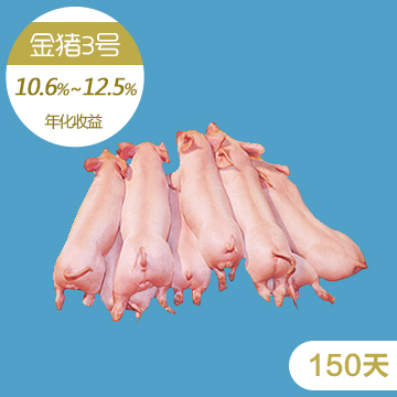 RX210531期金猪3号（150天）_R2O产权式养猪
